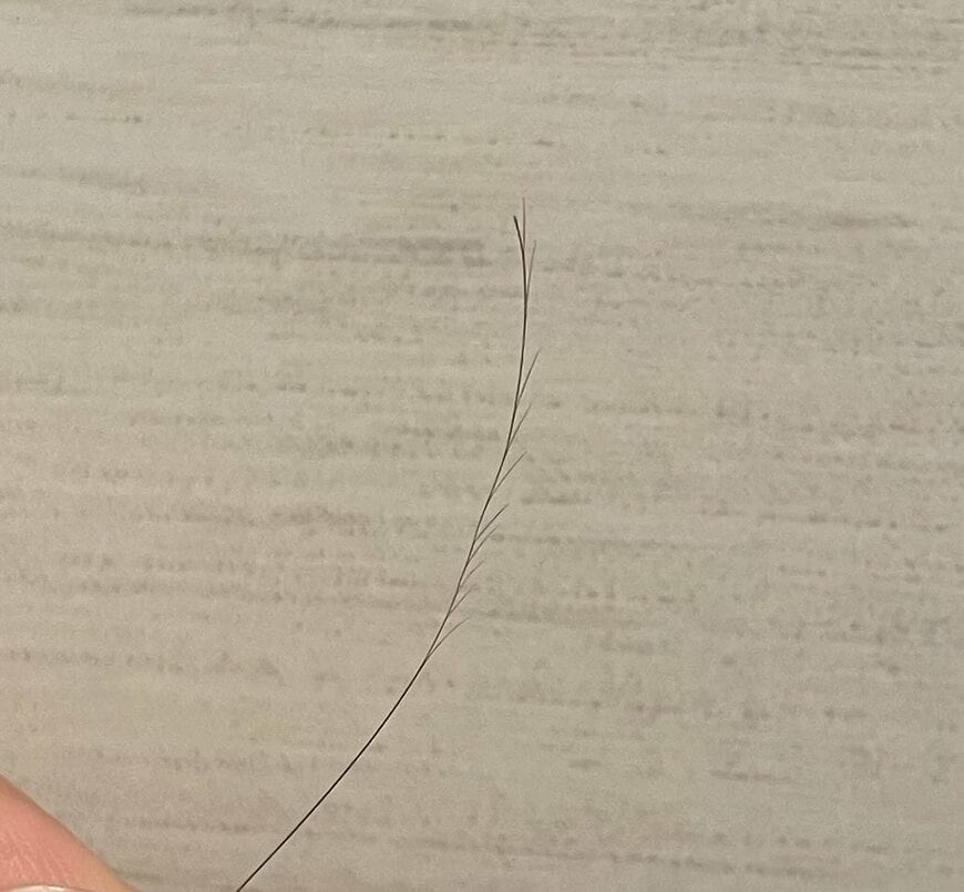 出所：@yui_dre_29