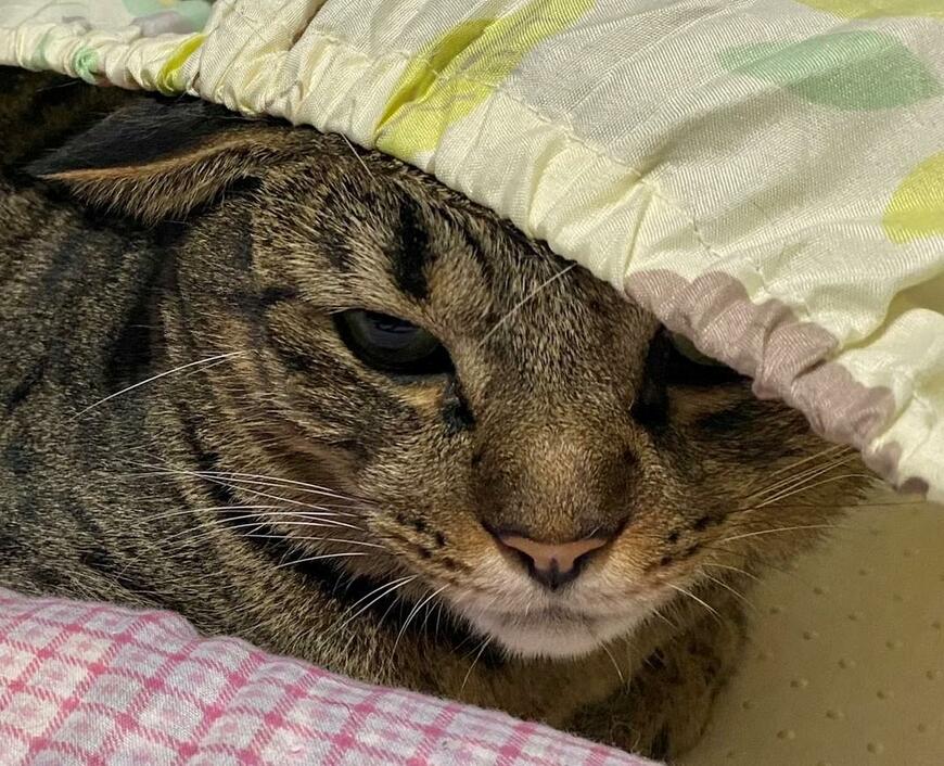 出所：@luna7taka9