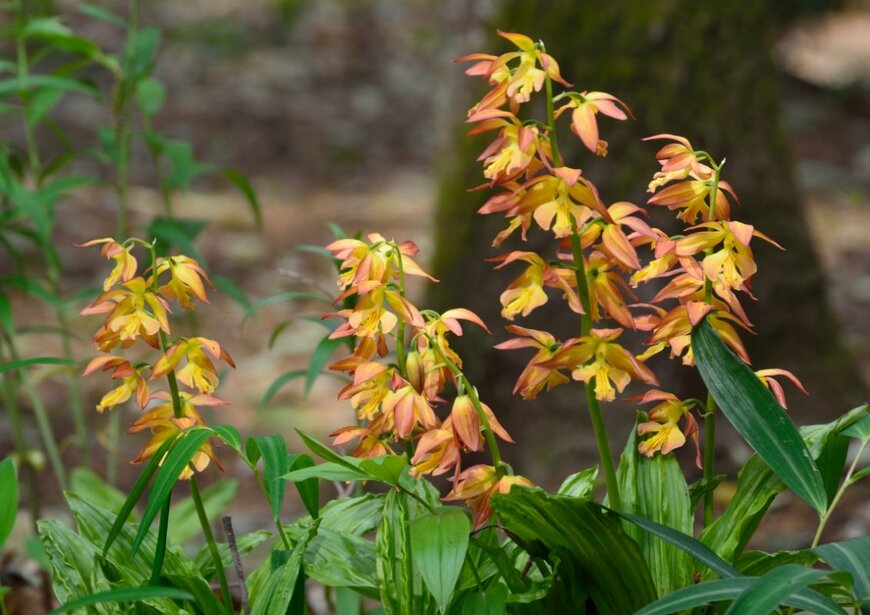 High Mountain/shutterstock.com