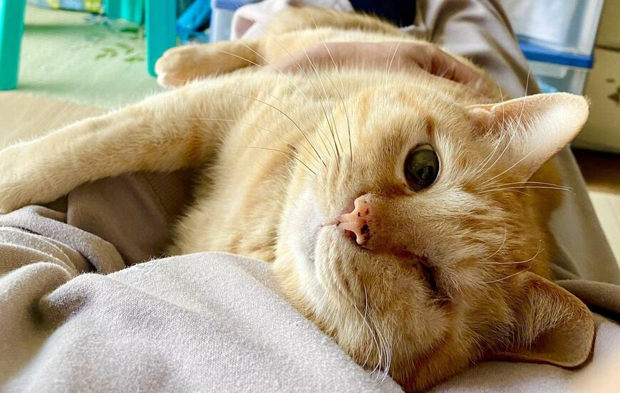 出所：@luna7taka9