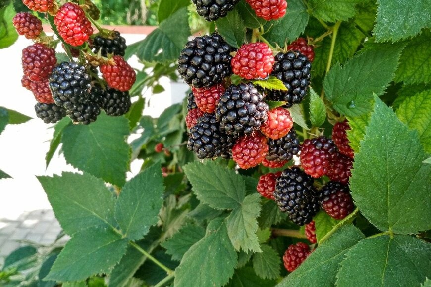 Sachko/istockphoto.com