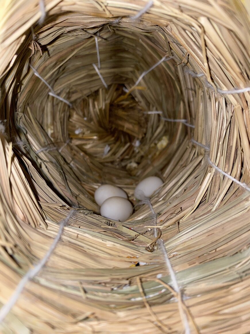 出所：@buncho_sweet