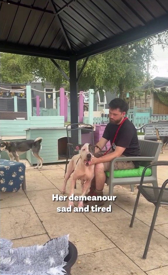 「美しい心の持ち主」ネグレクトされていた保護犬ペネロペ、笑顔を取り戻すまでの変化に反響