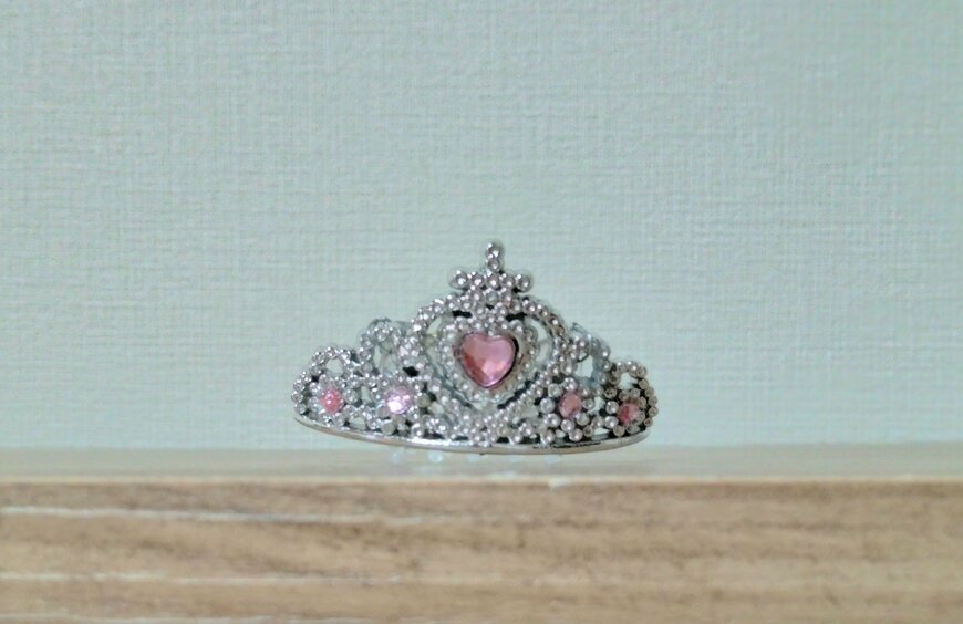 筆者撮影（セリア、ペット用ティアラ）