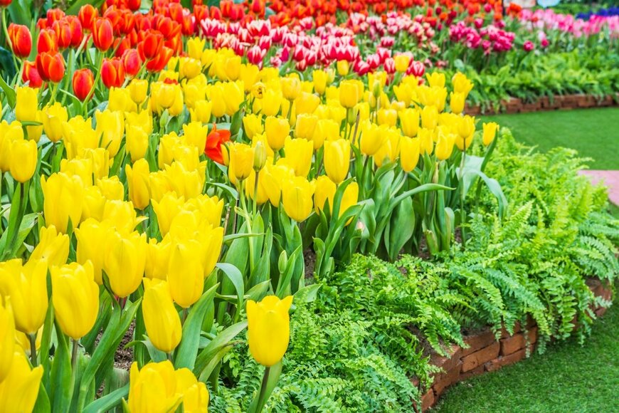 BLUR LIFE 1975/shutterstock.com