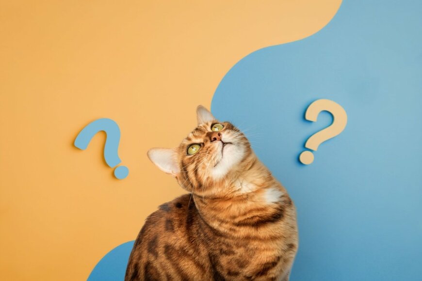 【後期高齢者医療制度】マイナンバーカード一体化でどうなる？4つのメリットと注意点を解説
