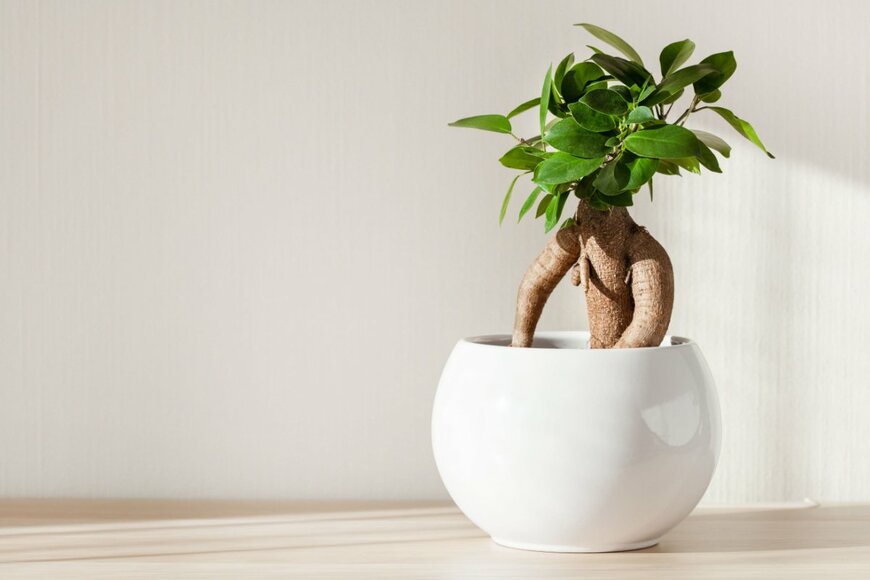 Olga Miltsova/shutterstock.com