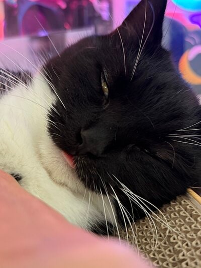 出所：＠unicouniuni3