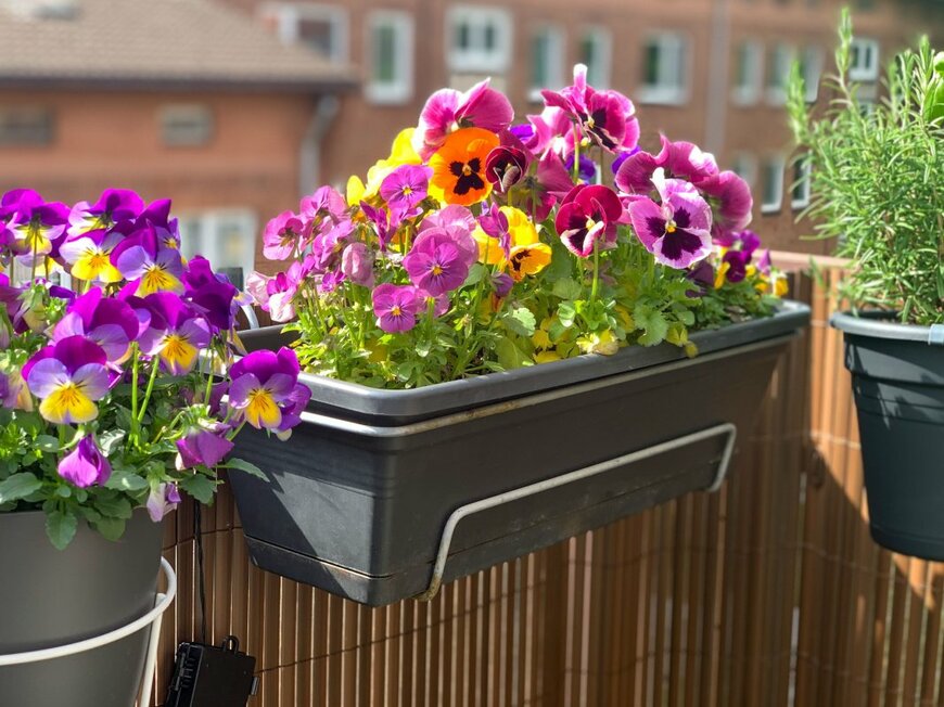 Lapa Smile/shutterstock.com