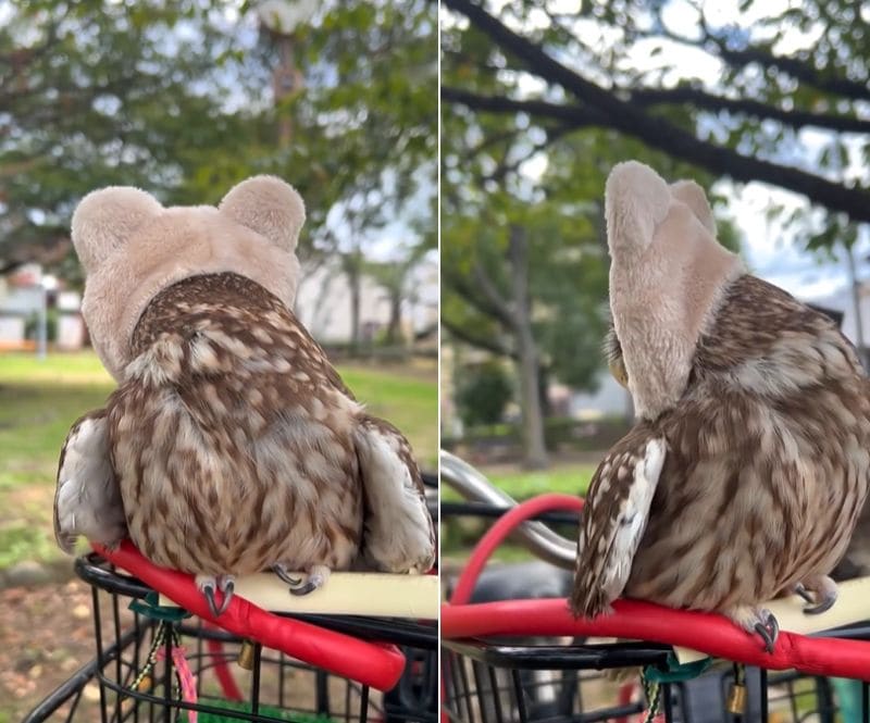 出所：@cr8673.hiro