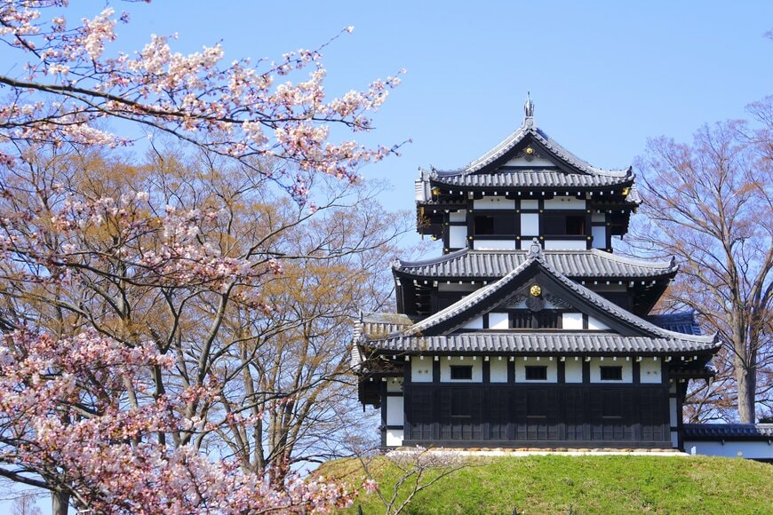 Amstk/shutterstock.com