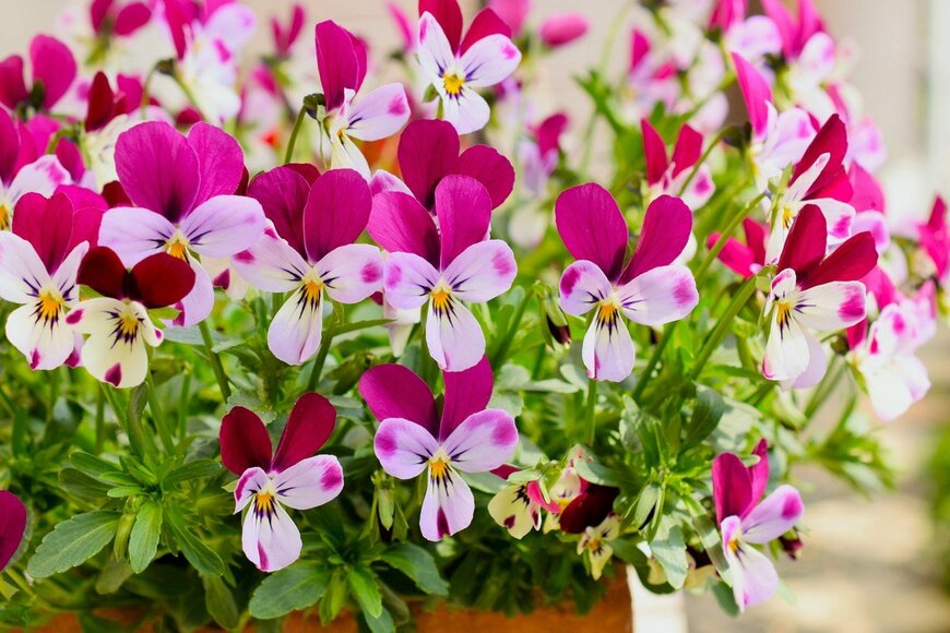 syan/istockphoto.com