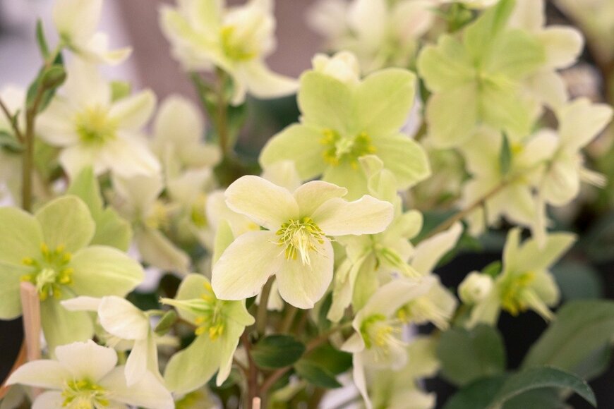 y-studio/istockphoto.com