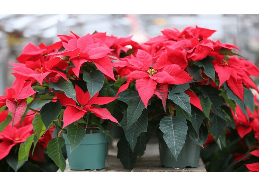 ZoomTravels/istockphoto.com