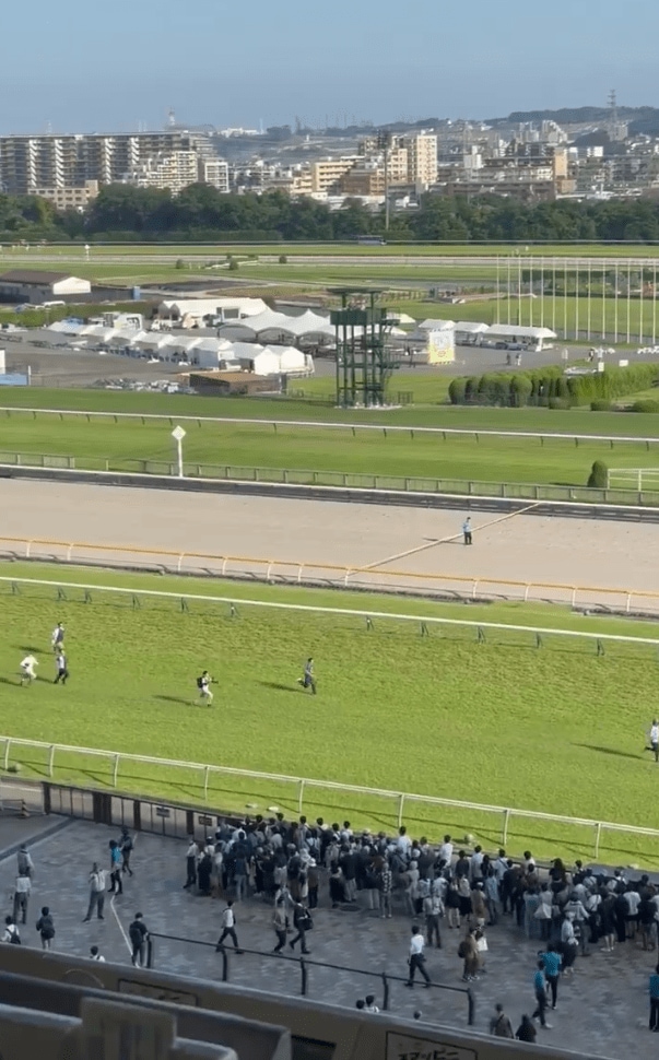 出所：@haru_keiba_win