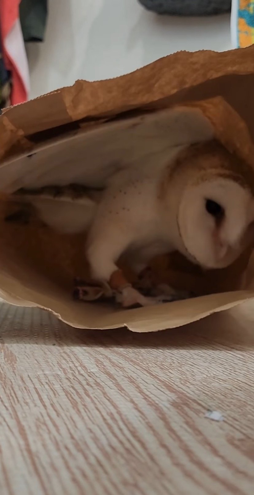 出所：@miki4wan108