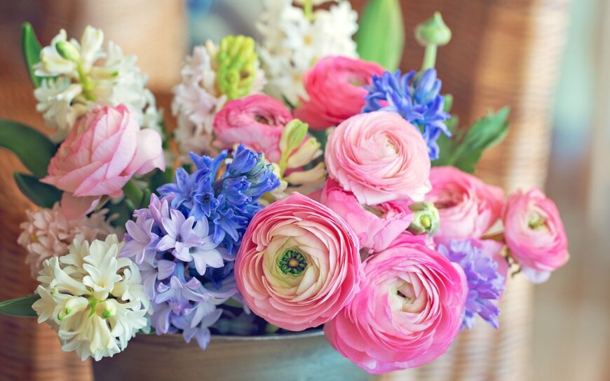 【ガーデニング】ロマンチックな花姿が魅力のラナンキュラス。育て方と一緒に植えたい草花5選