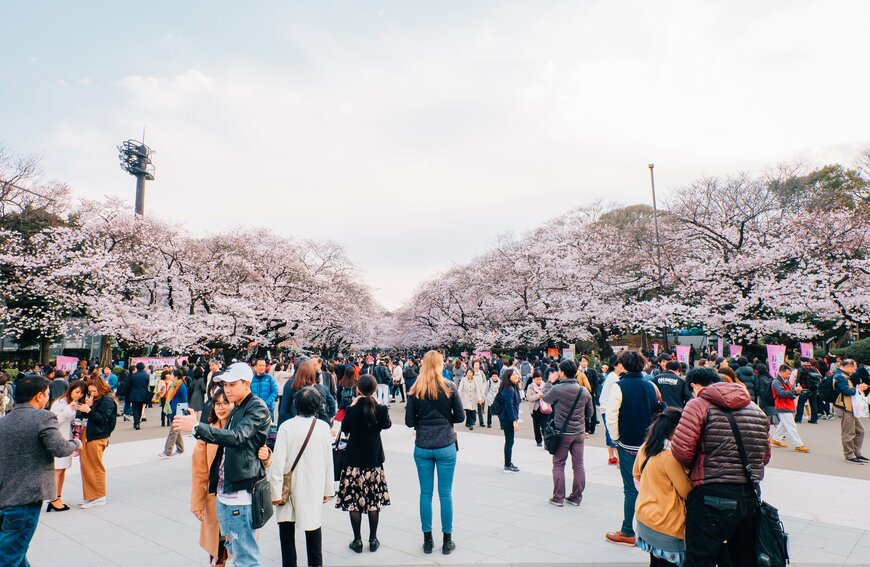 多くの外国人観光客が訪れる上野公園