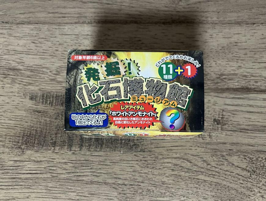 セリア、発掘!化石ミュージアム画像