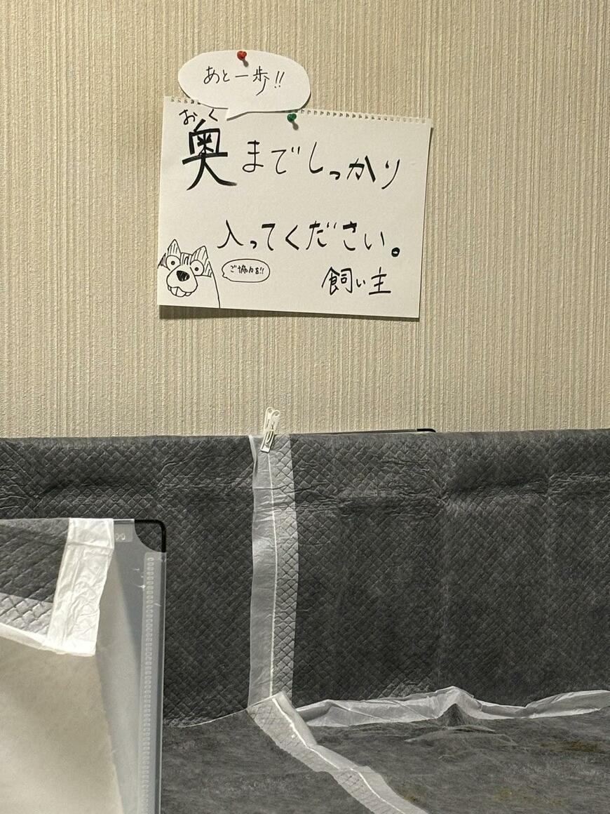 犬の飼い主が掲示した張り紙