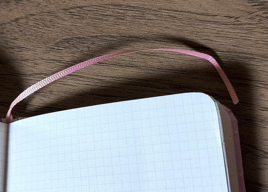 キャンドゥ、ハードカバーノート 96P 方眼 ふわふわ猫柄商品画像