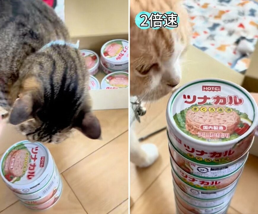 投稿の画像