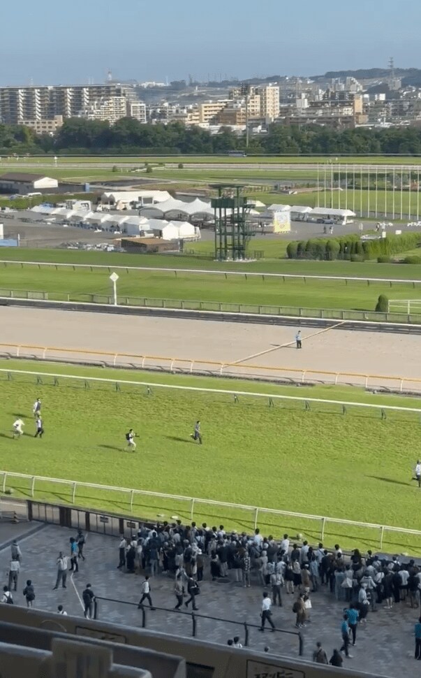 東京競馬場で撮影された一コマ
