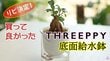 「水やりの救世主」ダイソー系列THREEPPY【底面給水鉢】おしゃれ＆高級感が魅力！年末年始の外出にも
