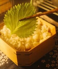 とろっとチーズがたまらない！52歳母が子どもに作る、ピーマン主役の〈愛情弁当〉が美味しそう