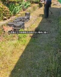 「お疲れ様でした」雑草が生い茂る〈お庭〉→プロの手技で〈見違えるほど美しい芝生空間〉にスッキリ！