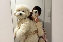 飼い主に抱っこされる小型犬　規格外の大きさに衝撃走る「でっかいぬいぐるみかと」