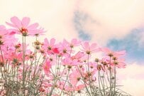 【住民税非課税世帯】知っておきたい「支援・優遇制度」7選！「給付金」や「保険料、NHK受信料・水道料金」の減免など