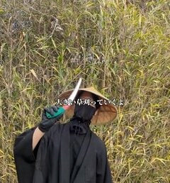 「マジで侍！」空き家を飲み込む竹藪を手ノコ1本で整える職人の作業。人の住まいとしての本来の姿に戻る過程がすごい