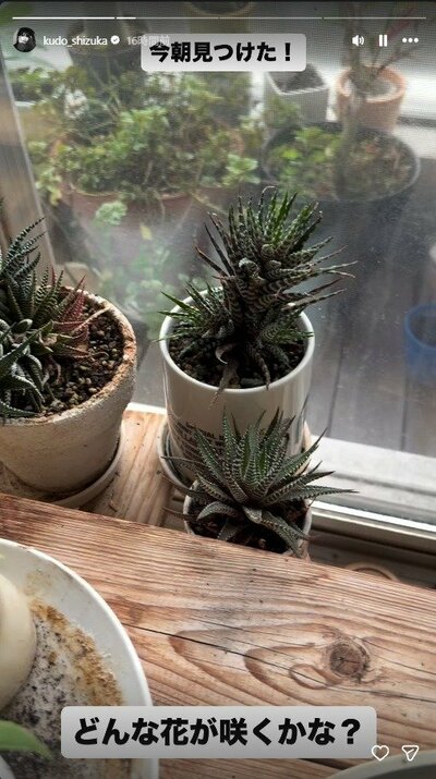 工藤静香のInstagramストーリーズ投稿