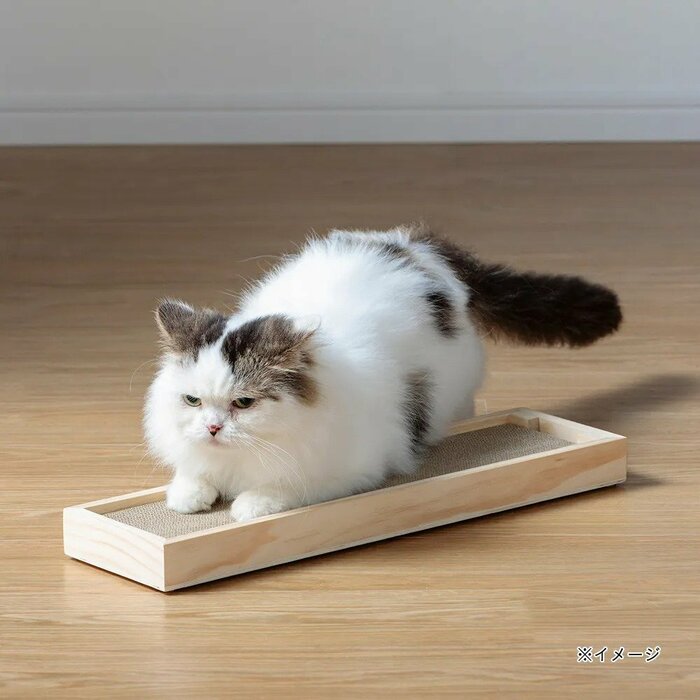 カインズのオリジナル商品「猫のつめとぎ 詰め替え 4個パック」