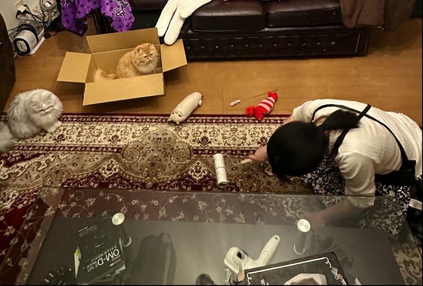 出所：@NEKOLAND13