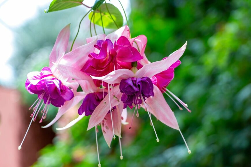 lennykaiser/shutterstock.com