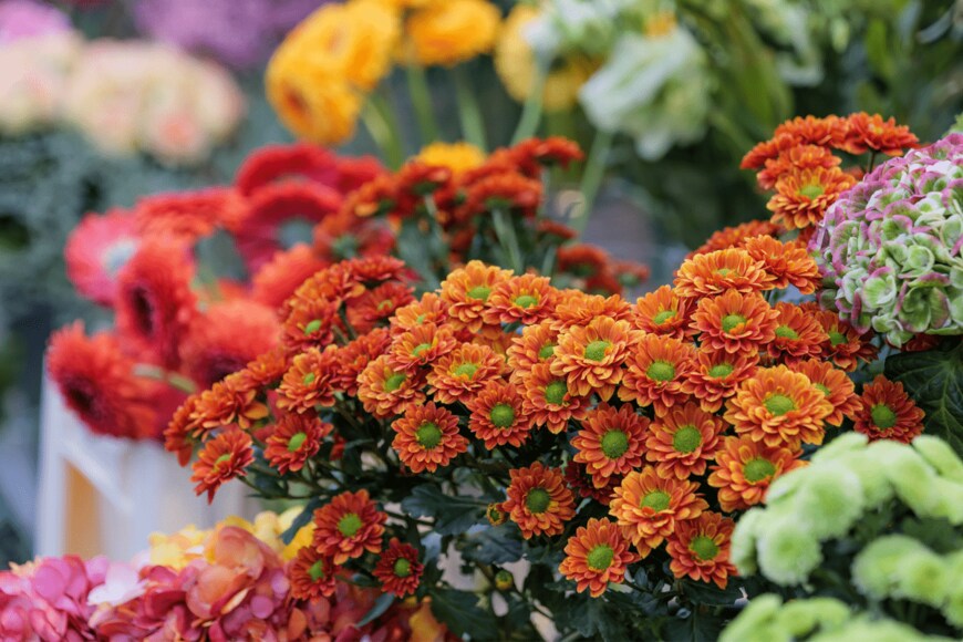 Peeradontax/shutterstock.com