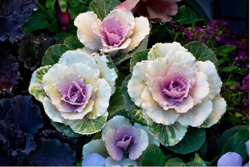 TokioMarineLife/istockphoto.com