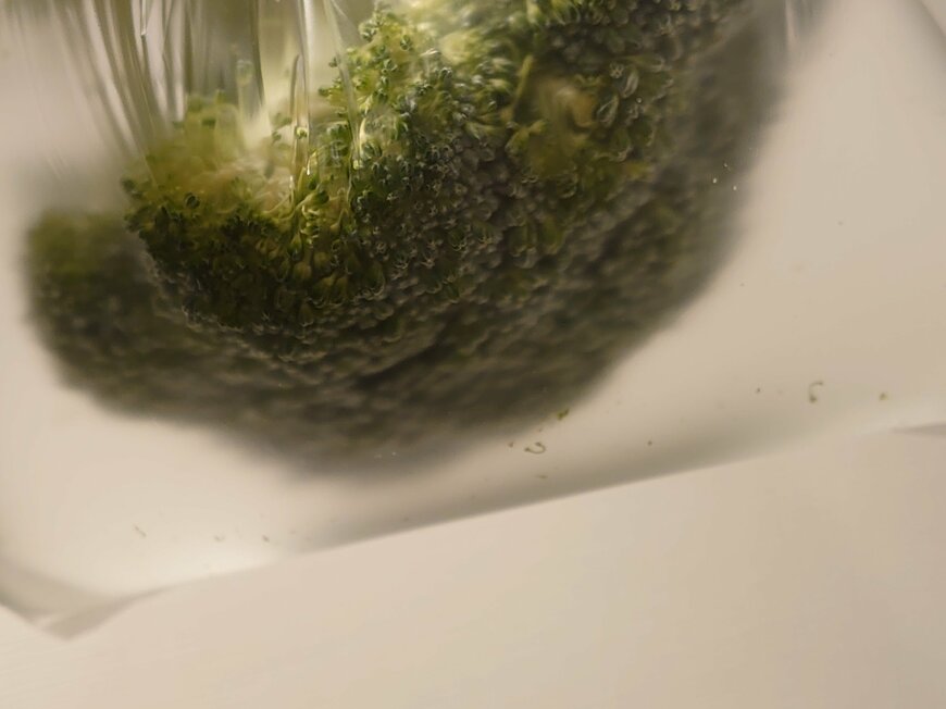 うっすらと濁りが…