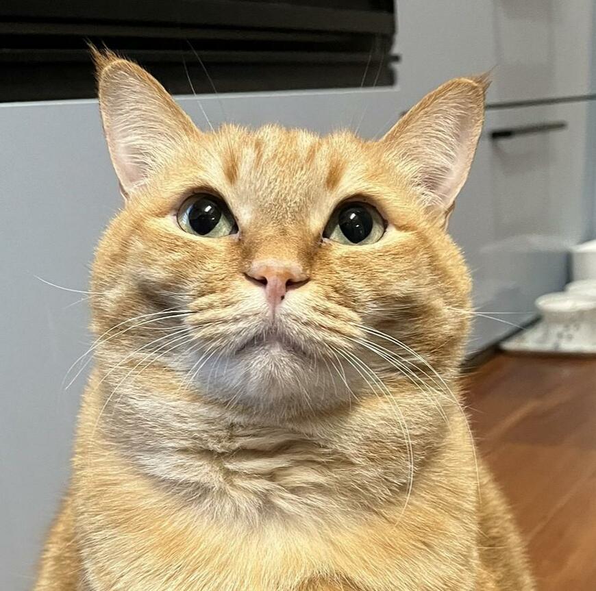 出所：@kagisuzu0531