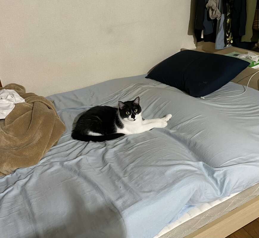 出所：@00shitemita