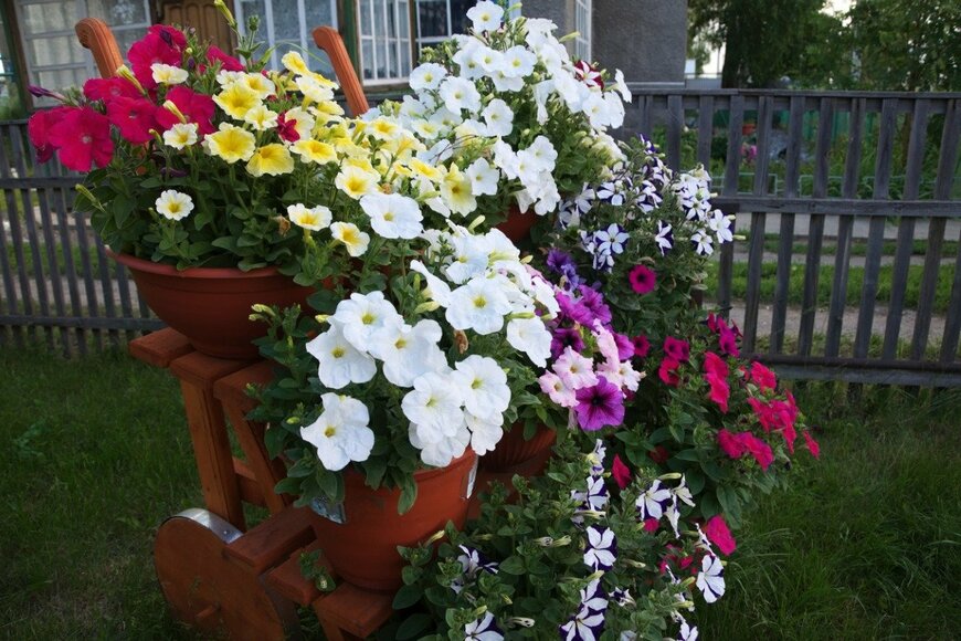 Aynur_sib/istockphoto.com