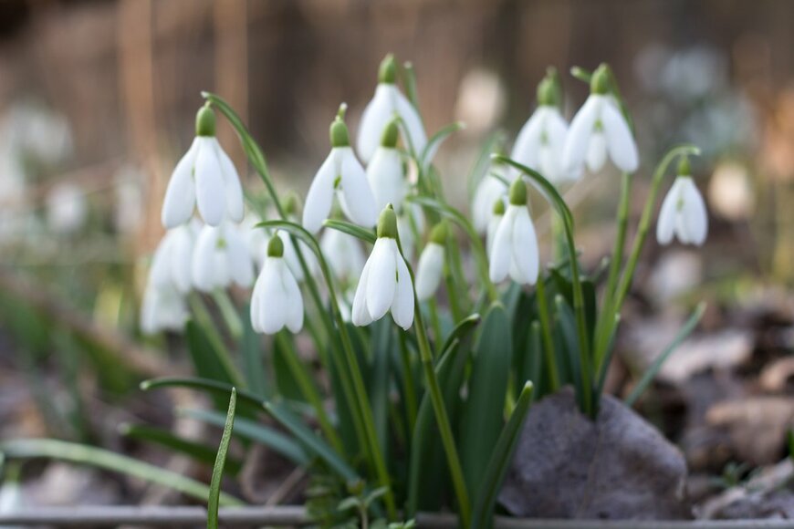Carlos Amarillo/istockphoto.com