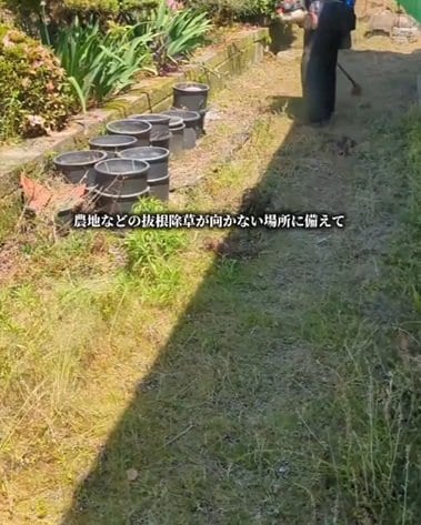 「お疲れ様でした」雑草が生い茂る〈お庭〉→プロの手技で〈見違えるほど美しい芝生空間〉にスッキリ！