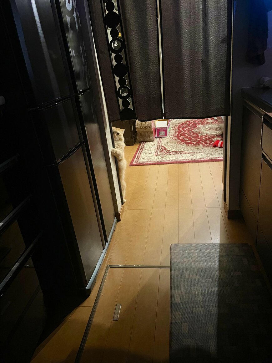 出所：@NEKOLAND13