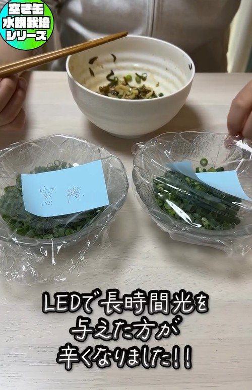 出所：mikanbo_ya19_87