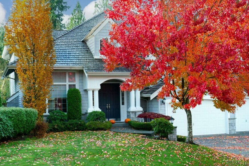 tab62//shutterstock.com