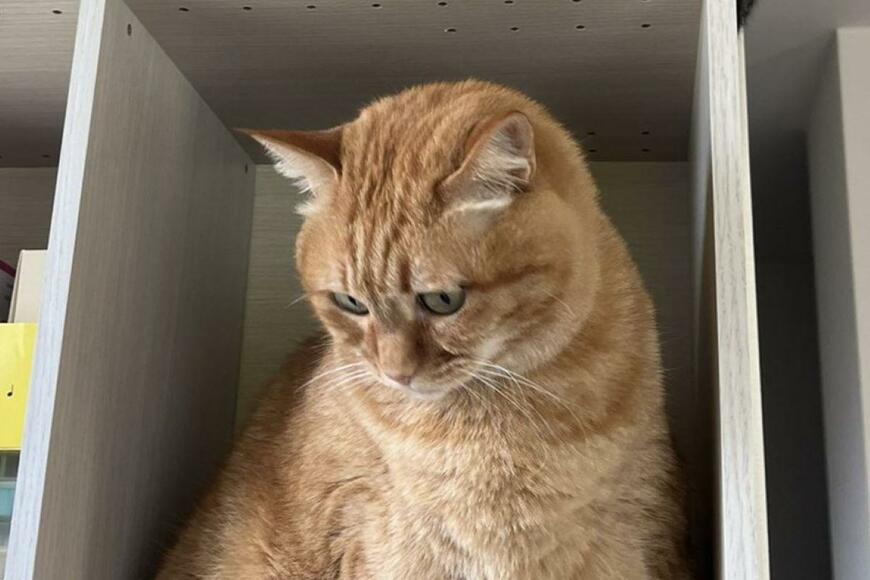 出所：@kagisuzu0531