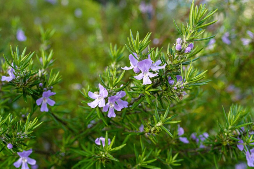 icebergpicture/istockphoto.com